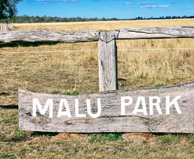 Rural / Farming commercial property sold at "Malu Park"/1100 Bowenville-Acland Road Malu QLD 4403