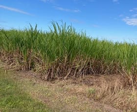 Rural / Farming commercial property sold at 292-294 Sachs Lane Foresthome QLD 4850
