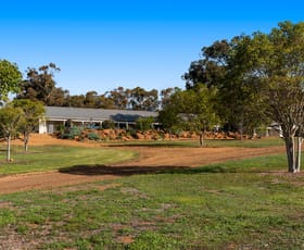 Rural / Farming commercial property sold at 38 Redgum Court Wandering WA 6308