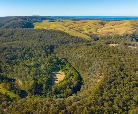 Rural / Farming commercial property sold at Lots 3,4 & 29 Mount Darragh Road Lochiel NSW 2549
