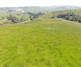Rural / Farming commercial property sold at 218 Mount Eccles Road Mount Eccles VIC 3953