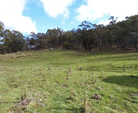 Rural / Farming commercial property sold at Lot 80 Back Arm Road Middle Arm NSW 2580
