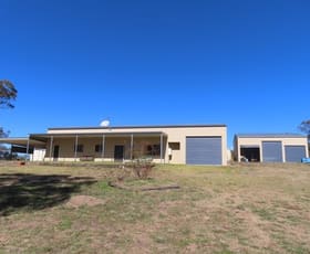 Rural / Farming commercial property for sale at 2913 Old Stanthorpe Road Dalveen QLD 4374
