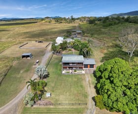 Rural / Farming commercial property sold at 52 Greenknoll Road Pleystowe QLD 4741