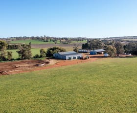 Rural / Farming commercial property sold at 113 Turners Lane Old Junee Wagga Wagga NSW 2650