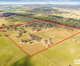 Rural / Farming commercial property for sale at Lot 11 Carmody Road Toolleen VIC 3551