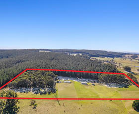 Rural / Farming commercial property for sale at 89 McManus Road Meadow Flat NSW 2795