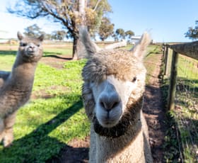 Rural / Farming commercial property for sale at 6056 Great Northern Highway Bindoon WA 6502