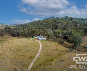 Rural / Farming commercial property for sale at 862 Gulf Road Emmaville NSW 2371