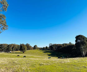 Rural / Farming commercial property for sale at 721//DP716739 Berry Road Tumbarumba NSW 2653