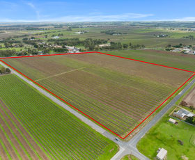 Rural / Farming commercial property for sale at Lot 351 Angaston Road Nuriootpa SA 5355