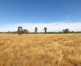 Rural / Farming commercial property sold at Rosedale/537 Old School Road Clermont QLD 4721