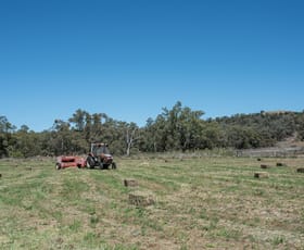 Rural / Farming commercial property for sale at Geurie NSW 2818