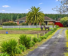 Rural / Farming commercial property for sale at 286 Lange Road Yahl SA 5291