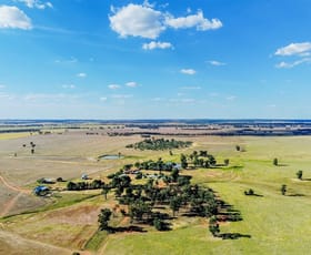 Rural / Farming commercial property for sale at 695 Quilties Corner Road West Wyalong NSW 2671