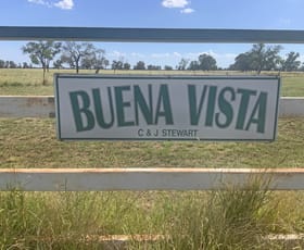 Rural / Farming commercial property for sale at 465 Bourbah Rd "Buena Vista" Road Collie NSW 2827