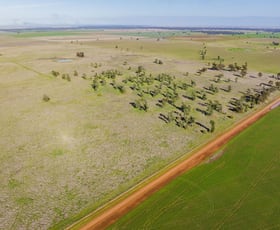 Rural / Farming commercial property for sale at Newell Highway Narrandera NSW 2700