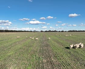 Rural / Farming commercial property for sale at "Goonwarra"/1 Warragoon Road Deniliquin NSW 2710