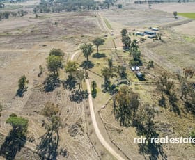 Rural / Farming commercial property sold at 8736 Gwydir Highway Inverell NSW 2360