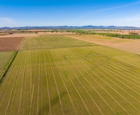 Rural / Farming commercial property for sale at 393 Settlement Bridge Road Canowindra NSW 2804