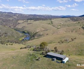 Rural / Farming commercial property sold at 1225 Smiths Road The Angle NSW 2620