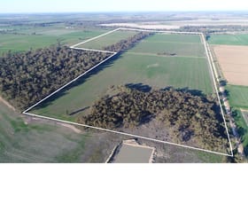 Rural / Farming commercial property for sale at Warren Road Narromine NSW 2821