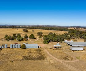 Rural / Farming commercial property sold at 417 Cope Road Gulgong NSW 2852