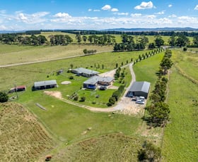 Rural / Farming commercial property for sale at 907 Windellama Road Gundary NSW 2580