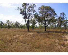 Rural / Farming commercial property sold at 216 Lion Mountain Road Alton Downs QLD 4702