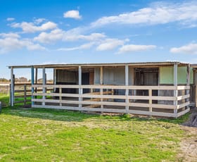 Rural / Farming commercial property for sale at Murray Valley Highway Cohuna VIC 3568