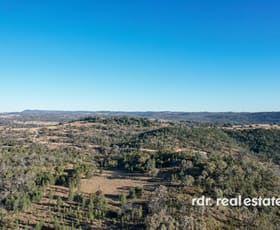 Rural / Farming commercial property sold at Lot 21 Wearnes Road Bundarra NSW 2359