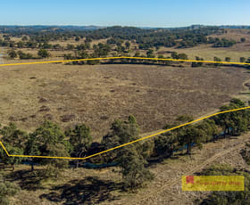 Rural / Farming commercial property sold at 431 Gorries Lane Gulgong NSW 2852