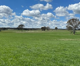 Rural / Farming commercial property sold at Ivanhoe Little Plains Road Boorowa NSW 2586