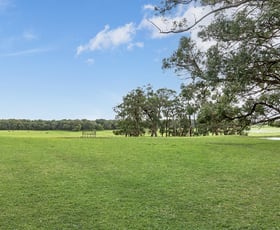 Rural / Farming commercial property for sale at 134 Pedrazzies Road Gorae VIC 3305