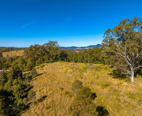 Rural / Farming commercial property sold at 118 Watsons Road Wang Wauk NSW 2423