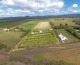 Rural / Farming commercial property sold at Mareeba QLD 4880