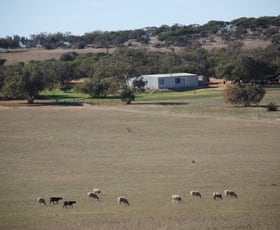 Rural / Farming commercial property for sale at Bookara WA 6525