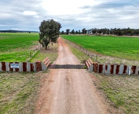 Rural / Farming commercial property for sale at 'IVENTURE' 1100 Paynes Road Tallimba NSW 2669