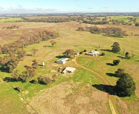 Rural / Farming commercial property for sale at "Yandilla",510 Gladstone Road, Kingsvale Via Young NSW 2594