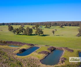 Rural / Farming commercial property sold at 19 Cundinup-Kirup Road Kirup WA 6251