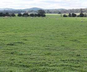 Rural / Farming commercial property sold at 105a Wareek Road Wareek VIC 3465