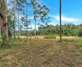 Rural / Farming commercial property for sale at 59 Basin Road Brierfield NSW 2454