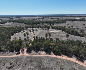 Rural / Farming commercial property sold at 257 Janewindi Creek Road Wee Waa NSW 2388