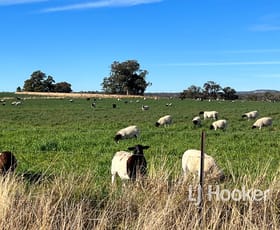 Rural / Farming commercial property sold at 92 Petoria Park Road Delungra NSW 2403