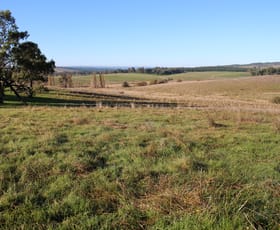 Rural / Farming commercial property for sale at 911 Carabost Road Humula NSW 2652