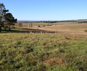 Rural / Farming commercial property sold at 911 Carabost Road Humula NSW 2652