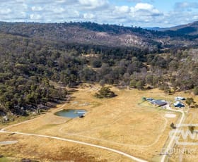 Rural / Farming commercial property for sale at 128 McCowens Road Tenterfield NSW 2372