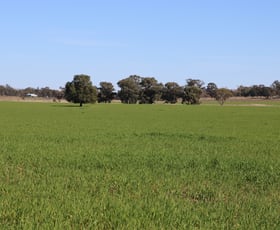 Rural / Farming commercial property for sale at Back Trundle Road Parkes NSW 2870