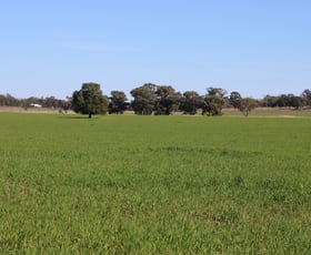 Rural / Farming commercial property sold at Back Trundle Road Parkes NSW 2870