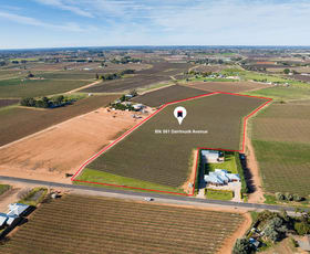 Rural / Farming commercial property sold at Block 561 Dairtnunk Avenue Cardross VIC 3496
